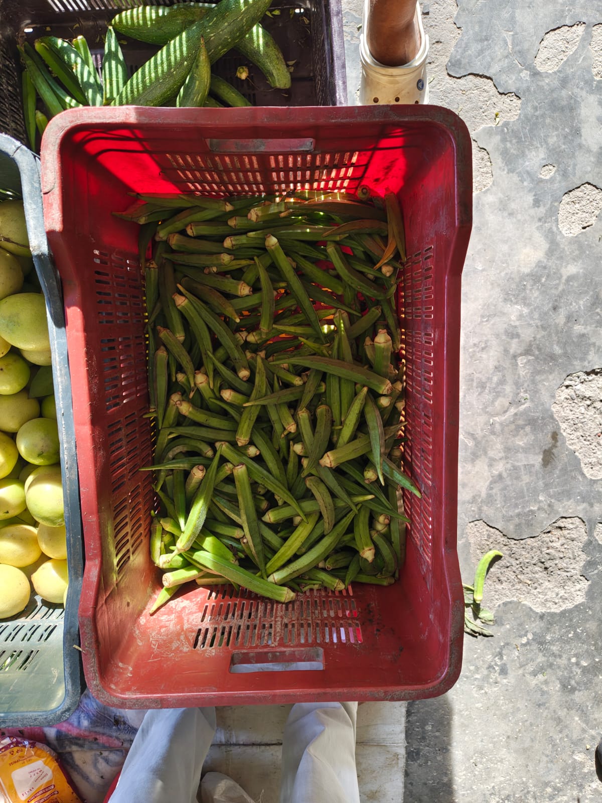 Fresh Bhindi (Okra)