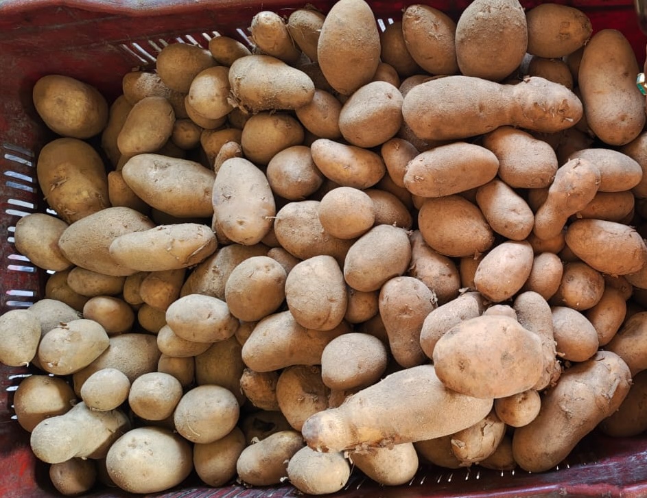 Tumrhi Aloo